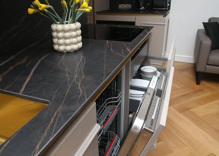 Apartament Ambassador